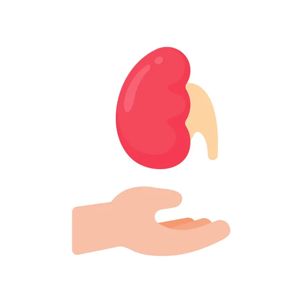 Hand Supports Internal Organs Concept Organ Donation Treatment Patients — Vector de stock