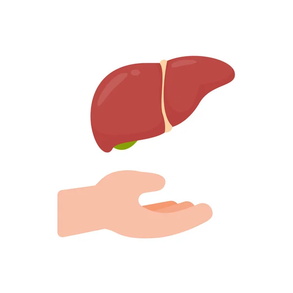 内臓を支える手患者の治療のための臓器提供の概念 — ストックベクタ