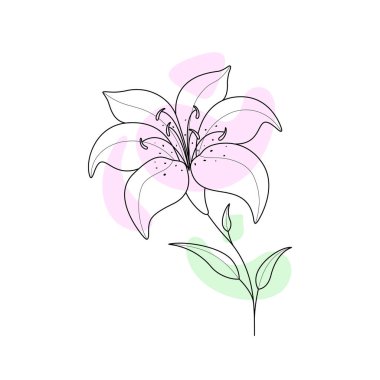 Beyaz arka planda bir Lily Flower 'ın siyah taslağı. İçinde çiçek açan zambak olan bir kartpostal. Çizim illüstrasyonu.