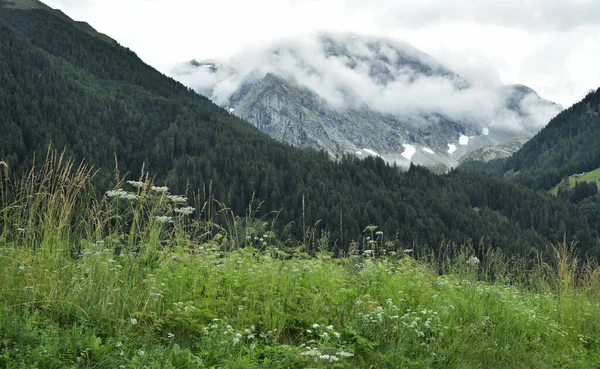 Dampfwolken Auf Den Gipfeln Der Rieser Vedrette Oberen Antholzertal — Stockfoto