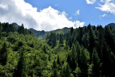 2094 metre yüksekliğindeki İtalya-Avusturya sınırının dağları Obertilliachertall 'ın tam üstünde yer alan Forcella Dignas' tır.