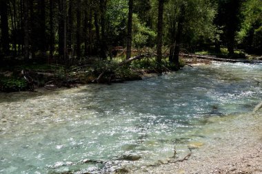 Ormanda, Dobbiaco Gölü 'nün bir kolu olan Rienza Nehri' nin suları akıyor.