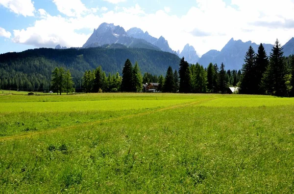 Vast green meadows in the town of Moso with the peaks of the Val Fiscalina in the background