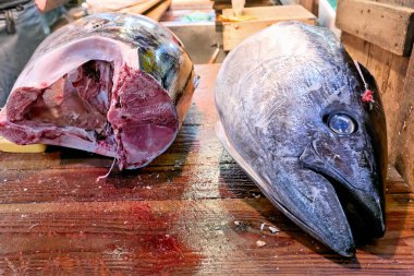 Tokyo 'da yoğun bir pazarda balıklar işleniyor. İşçiler büyük balıkları kesip işlediler, yerel deniz ürünleri ticareti ve hazırlıklarını sergilediler..