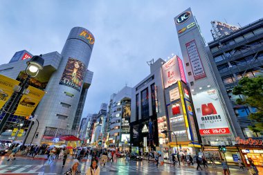 Tokyo 'nun hareketli Shibuya bölgesinde gece kalabalıklar yürür. İnsanların keşfettiği parlak ışıklar ve işaretler bölgeyi aydınlatıyor.