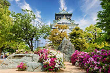 Osaka Kalesi Japonya 'nın Kansai şehrinde her tarafında çiçekler ve ağaçlar var. İnsanlar manzaranın ve atmosferin tadını çıkarmak için bu tarihi yeri ziyaret ediyorlar..