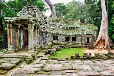 Angkor, Kamboçya 'daki Ta Prohm tapınağının aşırı gelişmiş kalıntıları. Dev ağaçların doğanın güçlü ıslah edilişini gösteren antik taşları kucakladığı yer..