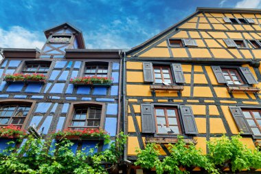 İnsanlar eski Riquewihr kasabasını keşfeder, renkli ahşap çerçeveli evlere hayran kalır ve Alsace Şarap Yolu 'nu gezerler..