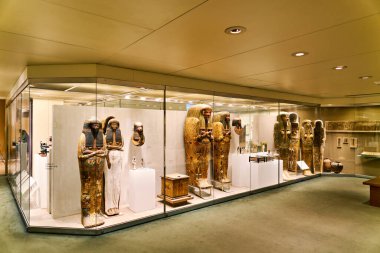 Ziyaretçiler, Metropolitan Sanat Müzesi 'nde cam kutularda sergilenen antik Mısır eserlerini görüyorlar. Sergide tarih ve kültür vurgulanıyor.