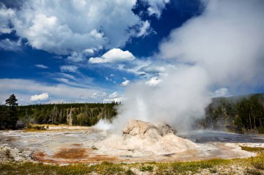 Grotto Gayzer, Yellowstone Ulusal Parkı 'ndaki patlama sırasında su ve buhar salıyor. Ziyaretçiler doğal manzarayı ve eşsiz manzarayı görebilir..