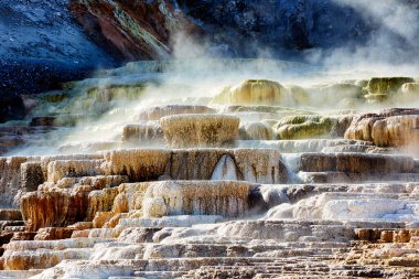 Ziyaretçiler, Wyoming 'deki Yellowstone Ulusal Parkı' ndaki Minerva Terasında termal kaynakların oluşturduğu eşsiz şekilleri gözlemliyorlar..