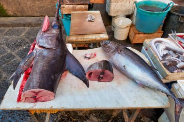 Yerel satıcılar Catania 'daki Piscaria pazarında taze balık hazırlayıp satıyorlar. Müşteriler gün ışığında deniz mahsulleri alıp gezer..