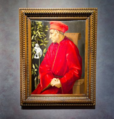 Bu portrede Pontormo tarafından Cosimo de Medici gösterilir. Sanat eserleri Floransa, Toskana, İtalya 'daki Uffizi Galerisi' nde sergileniyor..