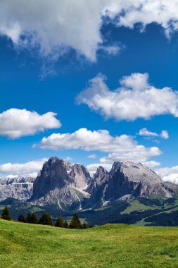 Seiser 'de güneşli bir gün. Sassolungo dağının zirvesi yeşil tarlaların ve ağaçların tepesinde yükseliyor..