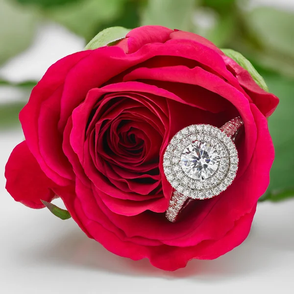 Bague Halo en diamant tenue dans Scarlet Red Rose Images De Stock Libres De Droits