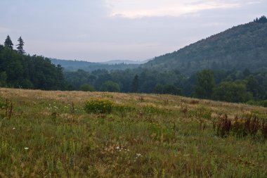 Puslu çayır ve alanlar üzerinde güzel gündoğumu