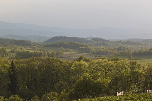 Mrazivé ráno krajina s jezerem — Stock fotografie