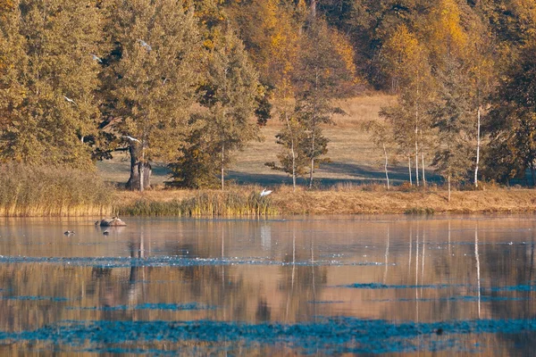 Lake in herfst kleuren — Stockfoto