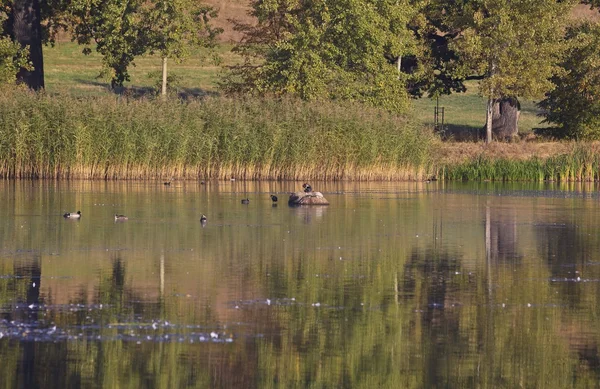 Lake in herfst kleuren — Stockfoto