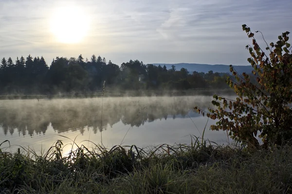 Fagyos reggel táj a lake — Stock Fotó