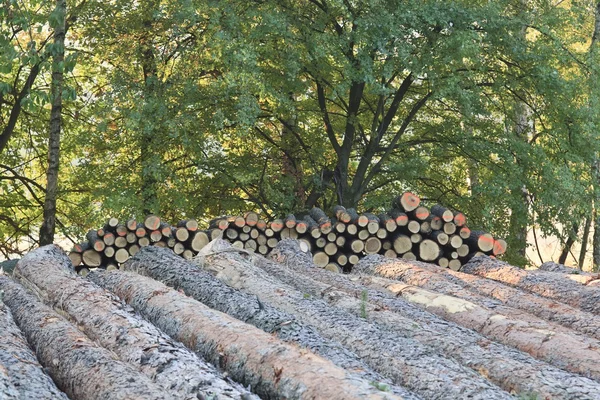 Stapel houtblokken — Stockfoto