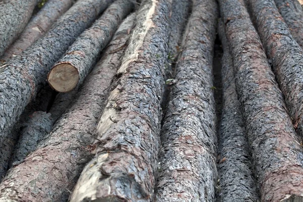 Odun yığını — Stok fotoğraf