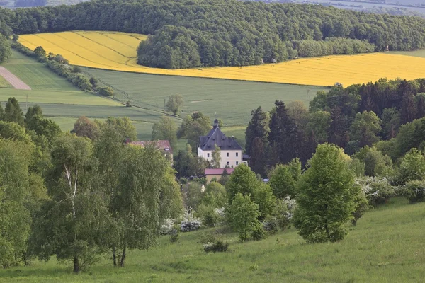 Paisagem de verão com campo de colza amarelo — Fotografia de Stock