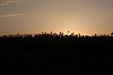 Kanlı gün batımı Polonya sahne