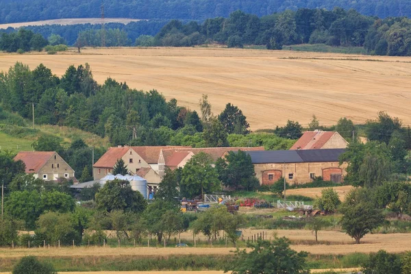 Schöne dörfliche Natur — Stockfoto