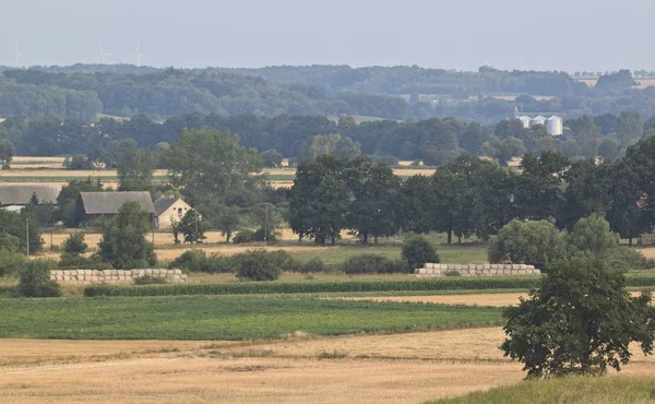 Schöne dörfliche Natur — Stockfoto