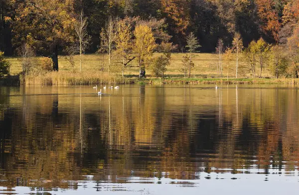 Lake in herfst kleuren — Stockfoto