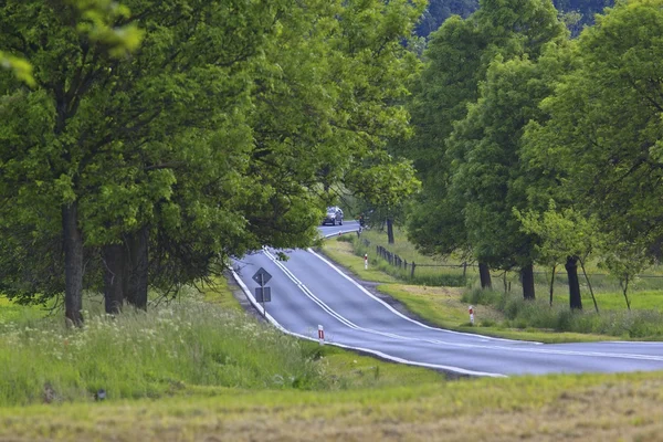 Bella strada in mezzo a bellissimi alberi — Foto Stock