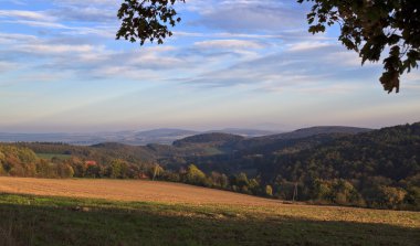 sonbahar park sahnesi 