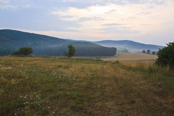 Beautiful sunrise over misty meadow and fields — Stock Photo, Image