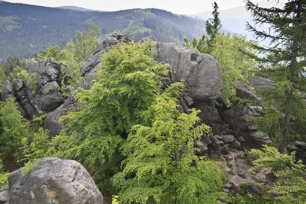 Sokole montanhas na Polônia - Sudety — Fotografia de Stock