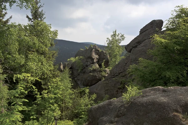 Sokole berg i Polen - Sudety — Stockfoto