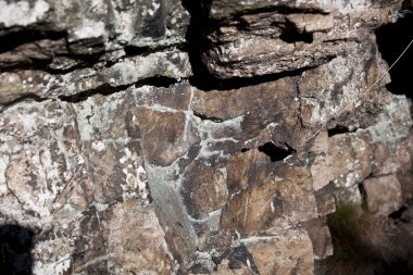 yakın up gri taşın yüzeyi. 