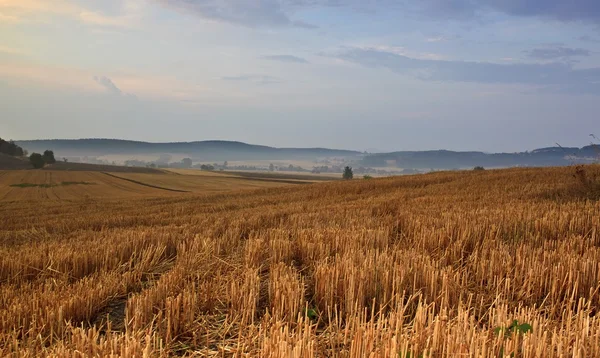 Hermoso amanecer sobre el prado brumoso y los campos —  Fotos de Stock