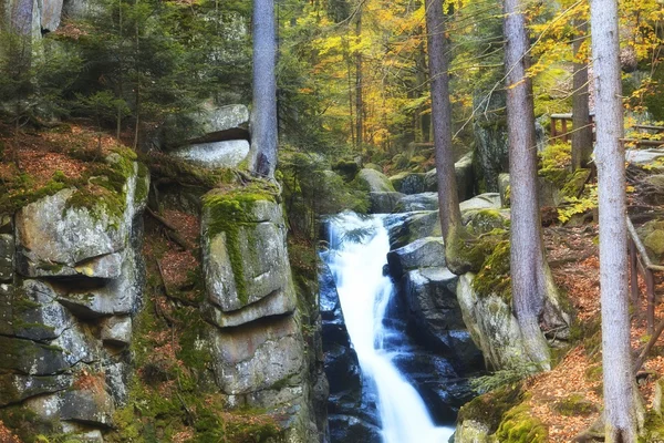 Arroyo de otoño en el bosque — Foto de Stock