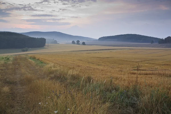 Beautiful sunrise over misty meadow and fields — Stock Photo, Image