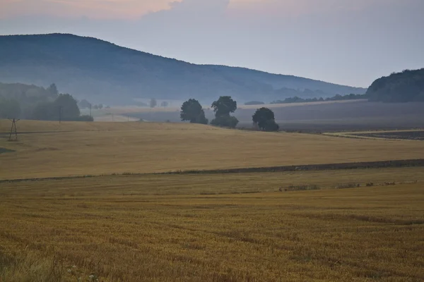 Bella alba su prati e campi nebbiosi — Foto Stock