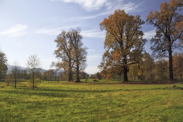 Autumn park scene — Stock Photo, Image