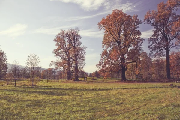 Jesienna scena parku — Zdjęcie stockowe