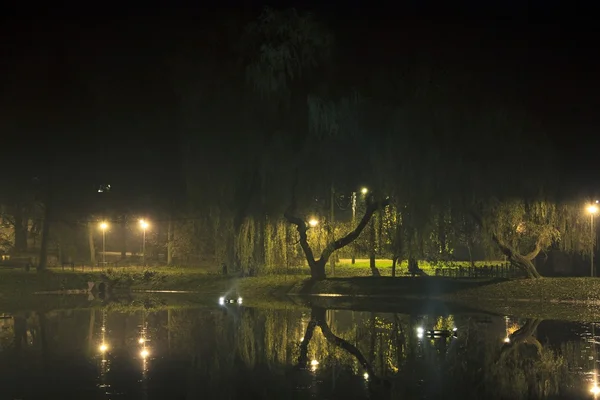 Höstens park nattetid — Stockfoto