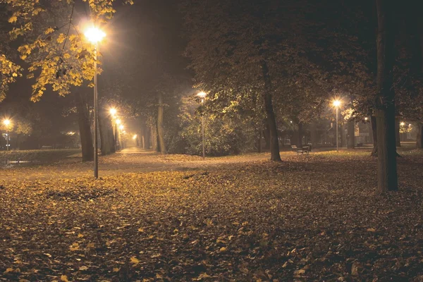 Höstens park nattetid Royaltyfria Stockfoton