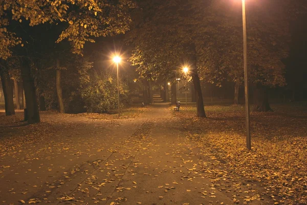 Höstens park nattetid Royaltyfria Stockfoton