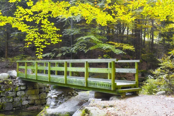 Arroyo de otoño en el bosque — Foto de Stock