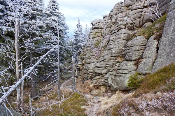 Karkonosze içinde dağ yolu — Stok fotoğraf