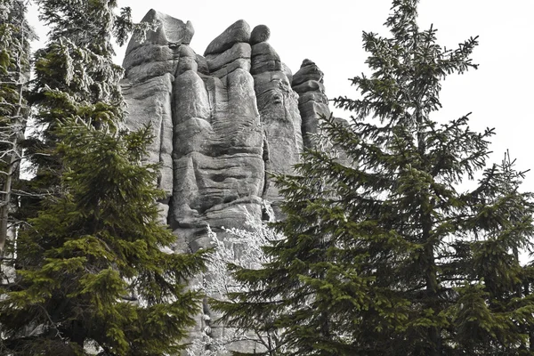 Sendero de montaña en Karkonosze — Foto de Stock