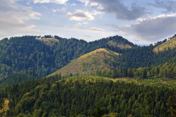 Krajina v polské montains Suche - suché hory — Stock fotografie